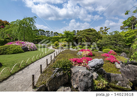 【京都府】城南宮、ツツジの庭園風景 【京都府】城南宮、ツツジの庭園風景 54023618