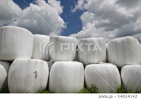Garbage bales. Wrapped stacked bales round with 54024142
