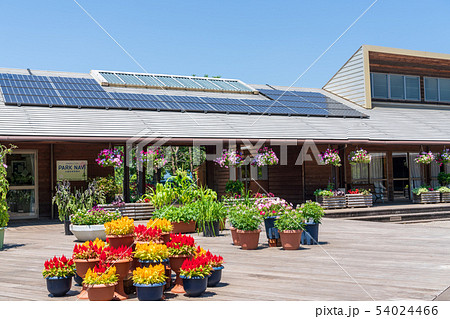 神奈川県立 相模原公園管理事務所 神奈川県立 相模原公園管理事務所 54024466