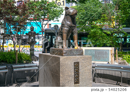 日本の東京都市景観　渋谷のハチ公像など 54025206