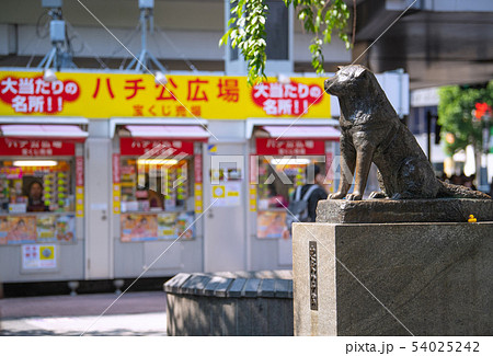 日本の東京都市景観　渋谷の忠犬ハチ公像など 54025242
