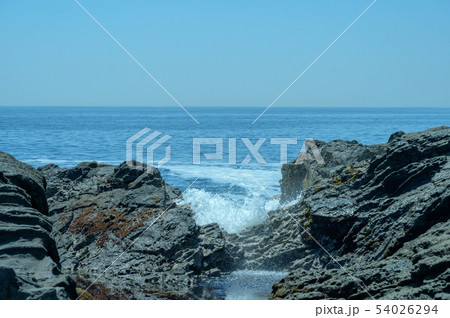 【神奈川】城ヶ島・安房崎 54026294