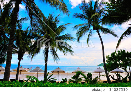 アオプラオビーチ 54027550