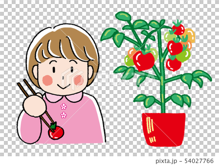 女の子とトマト 女の子とトマト 54027766