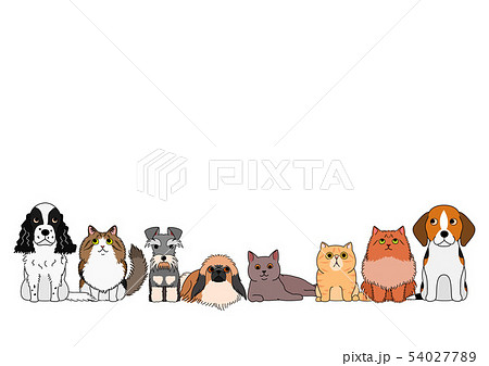 犬と猫のボーダー　グループ 54027789