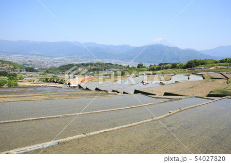 中野の棚田 中野の棚田 54027820