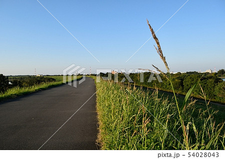 荒川河川敷 彩湖方面 荒川河川敷 彩湖方面 54028043