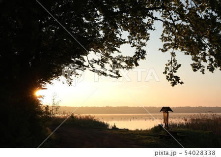 Silhouettes of trees on the edge of the lake 54028338