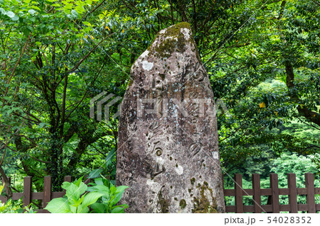 天岩戸神社境内 宮崎県高千穂町 天岩戸神社境内 宮崎県高千穂町 54028352
