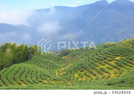 景色 風景 地形 54028938