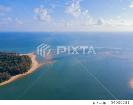 Aerial view of natural forest trees with sand, Aerial view of natural forest trees with sand, 54030281