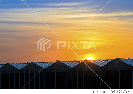 Large Industrial Greenhouse at Sunset 54030753