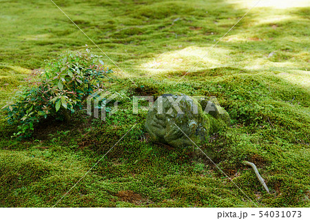 三千院 有清園 わらべ地蔵 三千院 有清園 わらべ地蔵 54031073