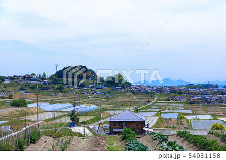 田園風景　大津　奥比叡ドライブウェイ　琵琶湖　住宅街 54031158