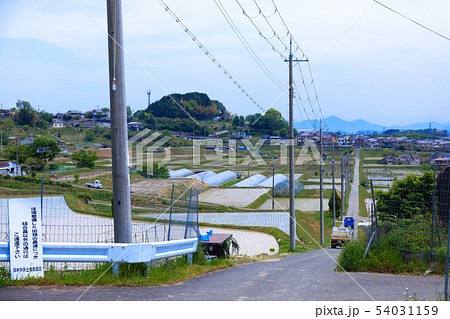 田園風景　大津　奥比叡ドライブウェイ　琵琶湖　住宅街 54031159