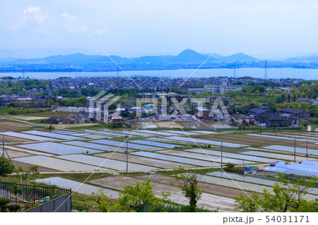 田園風景　大津　奥比叡ドライブウェイ　琵琶湖　住宅街 54031171
