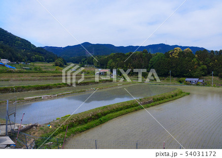田園風景　大津　奥比叡ドライブウェイ 54031172