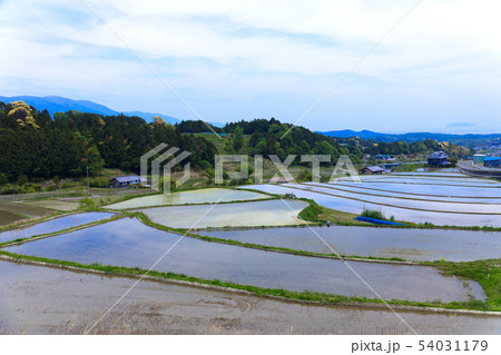 田園風景　大津　奥比叡ドライブウェイ 54031179