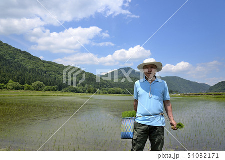 笑顔で田植えをするシニア 54032171