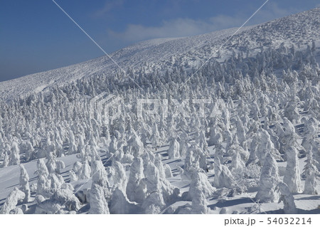 蔵王の樹氷 蔵王の樹氷 54032214
