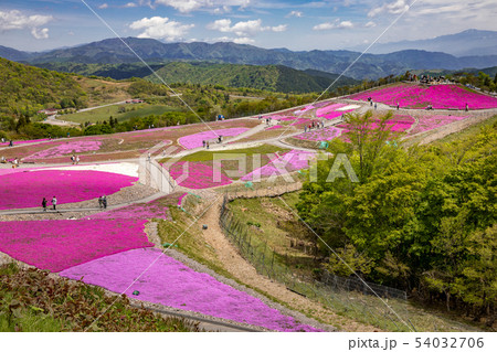 茶臼山高原 茶臼山高原 54032706