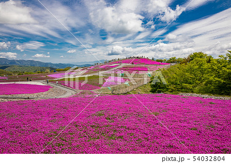 茶臼山高原 54032804