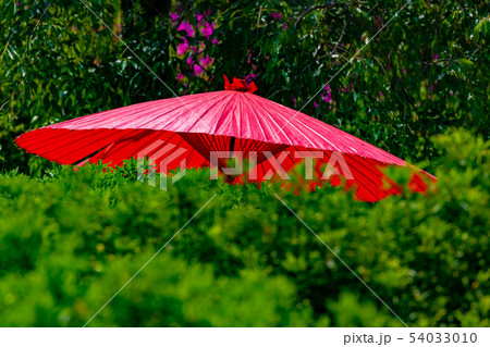 和傘 和傘 54033010