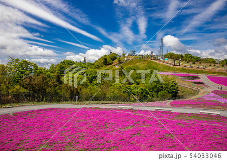 茶臼山高原 54033046