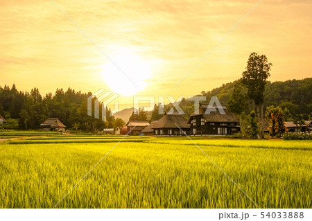 夏の農村風景 （荻ノ島環状集落の夕暮れ） 54033888