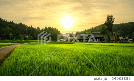 夏の農村風景 （荻ノ島環状集落の夕暮れ） 54033889