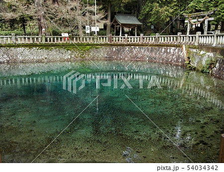 山口県美祢市秋吉町別府厳島神社のコバルトブルーの神秘的な弁天池 54034342