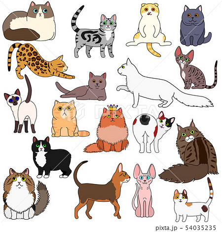 いろいろな猫のセット いろいろな猫のセット 54035235