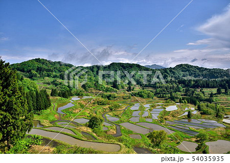 棚田 54035935