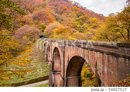 秋の碓氷峠　紅葉の碓氷第三橋梁（めがね橋） 54037517