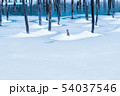 青い池 54037546