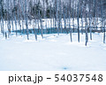 青い池 54037548