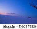 札幌郊外 54037689