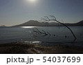 支笏湖 54037699