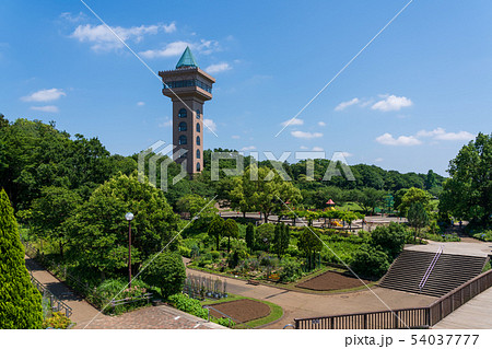 神奈川県　相模原公園　グリーンタワー相模原 54037777