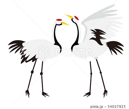 鶴 日本鶴 鳥 年賀状 年賀状素材のイラスト素材