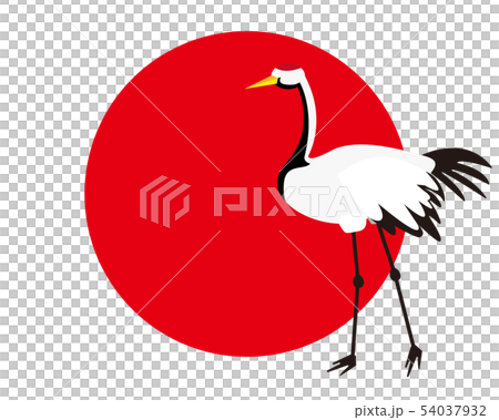 鶴 日本鶴 鳥 年賀状 年賀状素材のイラスト素材