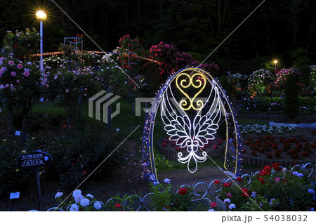 花巻温泉 バラ園のライトアップの写真素材