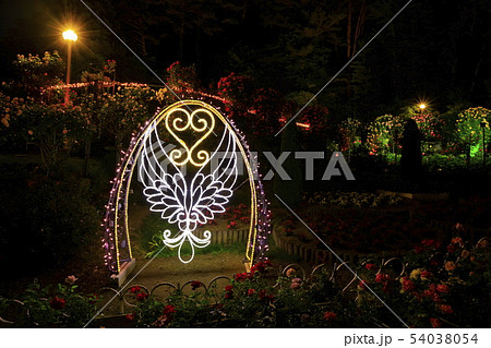 花巻温泉 バラ園のライトアップの写真素材