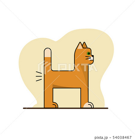 Orange cat farts. Orange cat farts. 54038467