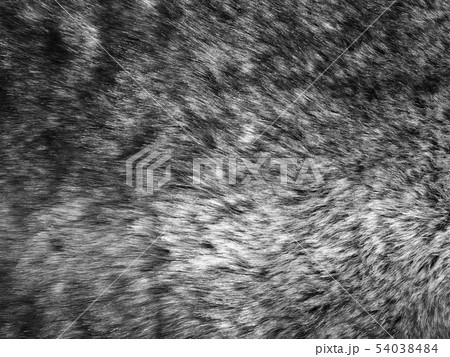 soft cotton sheep wool texture background 54038484