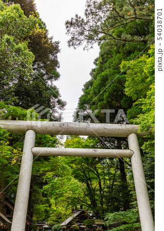 二の鳥居 天岩戸神社 54038701