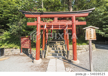 鶴岡八幡宮の丸山稲荷社(鎌倉市雪ノ下) 54039525