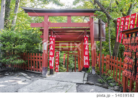 鶴岡八幡宮の丸山稲荷社(鎌倉市雪ノ下) 54039582