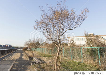 城南島(冬) 城南島(冬) 54039776