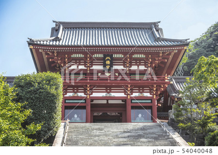 鶴岡八幡宮(鎌倉市雪ノ下) 54040048